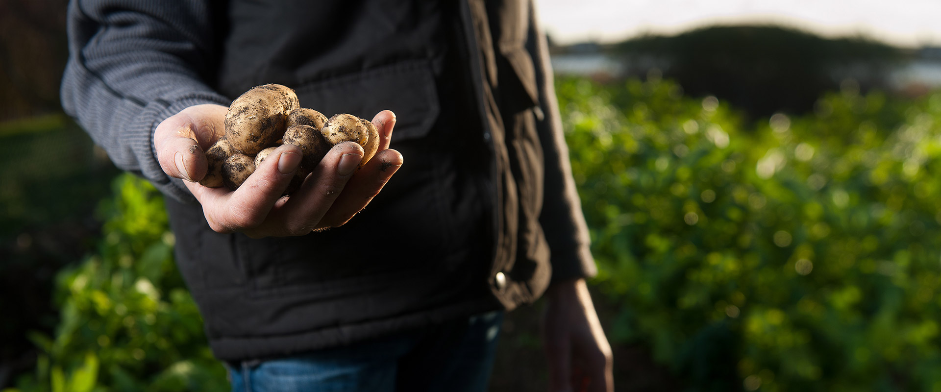 Centro servizi per l'agricolture