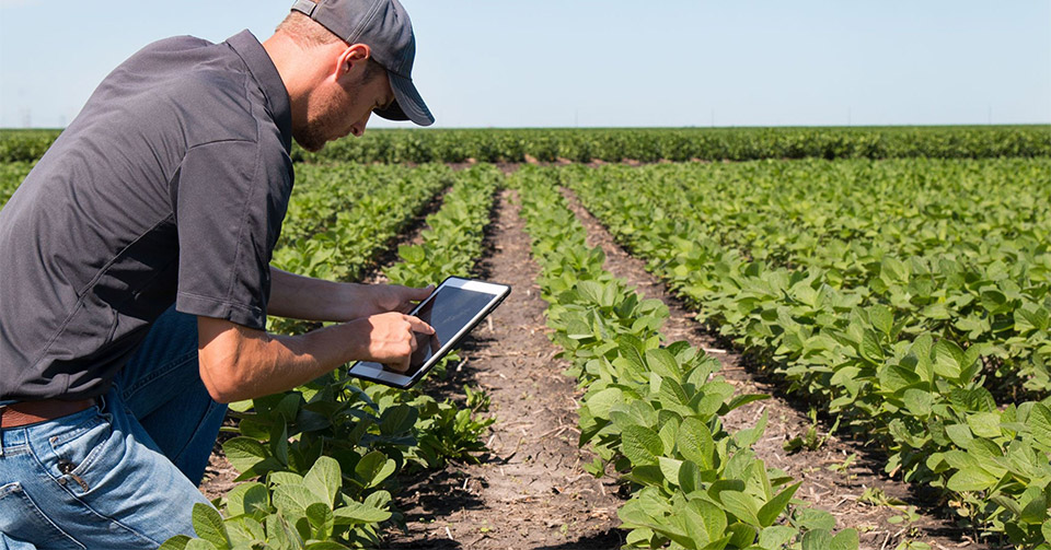 servizio agrotecnico